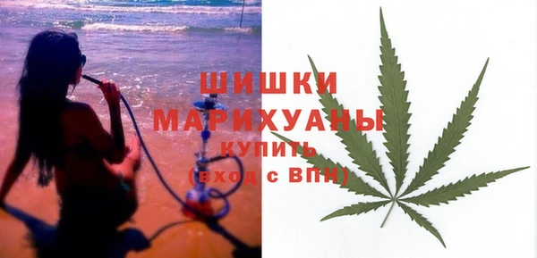 прущие грибы Богородск