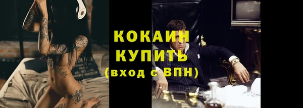 прущие грибы Богородск