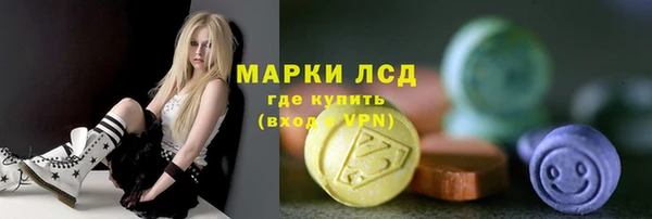 мдпв Богородицк