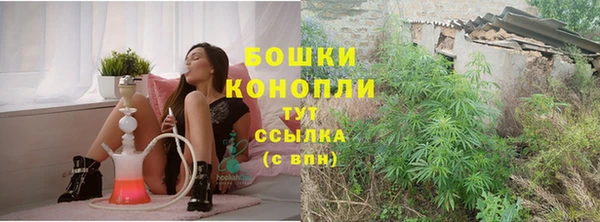 мдпв Богородицк