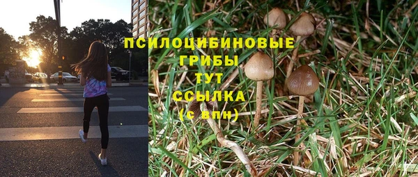 прущие грибы Богородск
