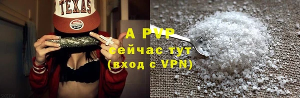 прущие грибы Богородск