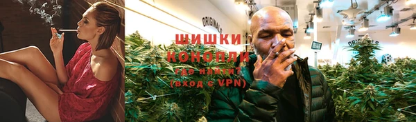 прущие грибы Богородск