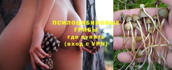 мдпв Богородицк