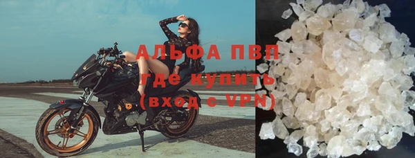 прущие грибы Богородск