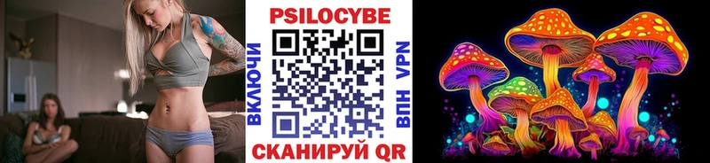 хочу   Новохопёрск  даркнет телеграм  Псилоцибиновые грибы GOLDEN TEACHER 